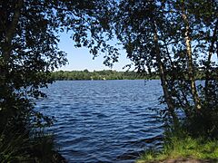 Vriezenveen, Netherlands - panoramio - Roland Meijerink