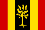 Waalwijk vlag