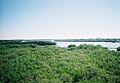 Weeden Island01