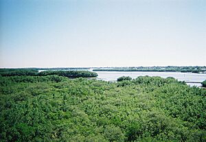 Weeden Island01