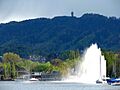 Zürichsee - Enge - Uetliberg IMG 2193