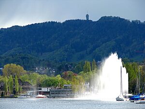 Zürichsee - Enge - Uetliberg IMG 2193