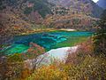 九寨溝-五花海 Jiuzhaigou Five Flower Lake