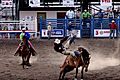 2006-07-28 - United States - Wyoming - Cody - Rodeo - Cowboy