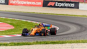2018 Spanish Grand Prix Vandoorne (2)