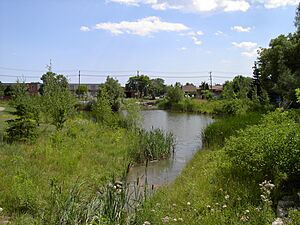 3490-TVW pond two