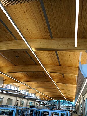AC Library roof