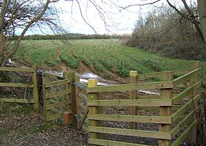 Access furniture, Bedford Purlieus - geograph.org.uk - 1228206