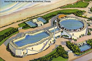 Aerial view of Marine Studios, Marineland, Florida