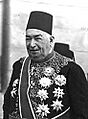 Ahmad Ziwar Pasha