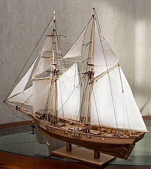 Albatros Scale Model