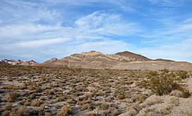 Amargosa desert.jpg