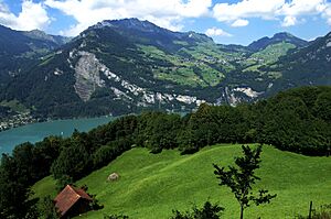 AmdenWalensee2