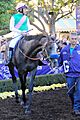 Arrogate-BCC2016-1