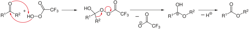 Baeyer-Villiger-Oxidation-V1