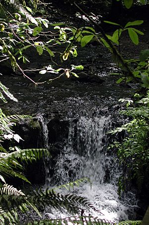 Balch Creek waterfall.jpg