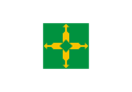 Bandeira do Distrito Federal (Brasil)