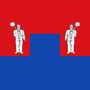 Bandera de Castil de Peones