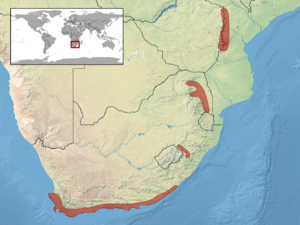 Bitis atropos distribution.png