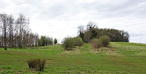 Blacksyke Tower waggonway, view to the west. Caprington, East Ayrshire