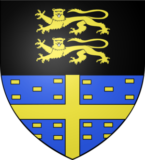Blason Polisy