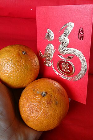 Blessings for chinese new year