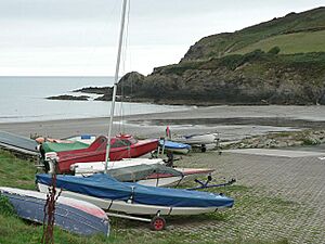 Boats at Pwllgwaelod - geograph.org.uk - 54760