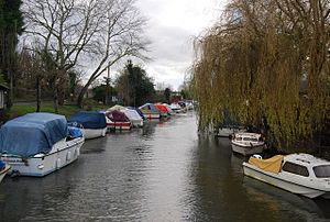 Boats moored at Grove Ferry on the Great Stour - geograph.org.uk - 1619932
