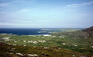 Borve and its adjoining coastline from Beinn na Moine - geograph.org.uk - 327424.jpg