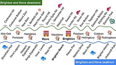 Brighton and Hove, the downland and coastal city in the South Downs National Park