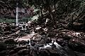 Browns Falls 2017