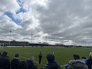 Buckie Thistle F.C. vs Brechin City F.C