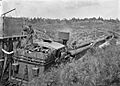 C1922 Mangapehi sawmill log train