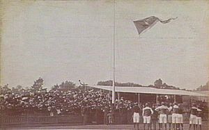 Carlton premiership flag 1907