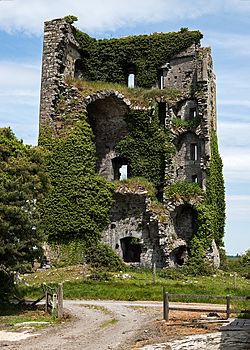 Castles of Munster Ballymarkahan, Clare (2) - geograph.org.uk - 4570420.jpg