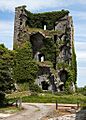 Castles of Munster Ballymarkahan, Clare (2) - geograph.org.uk - 4570420