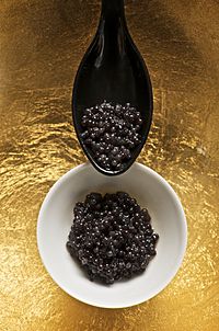 Caviar and spoon