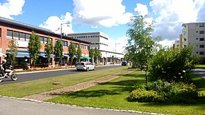 Centre of Kaarina, Finland.jpg