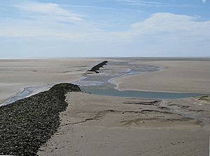 Close up of the incoming tide - geograph.org.uk - 823131