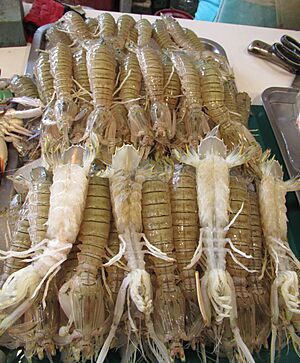 Concepcion Malabon 19