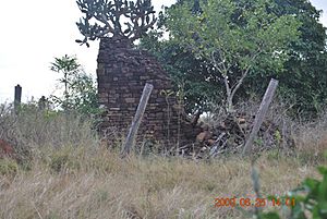 Cotswold Cottage ruins (2009) with prickly pear
