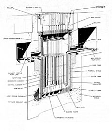 Cutaway View of SRE Reactor