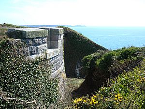 Dale Fort - geograph.org.uk - 722549