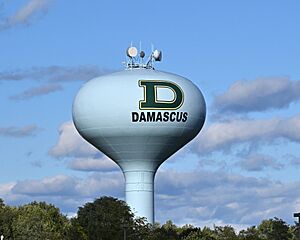 Damascus watertower sign Damascus MD 2023-10-08 16-46-55.jpg