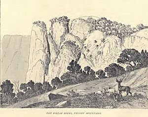 Douglas Hamilton, Pillar rocks