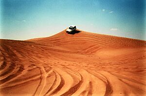 Dubai desert - panoramio