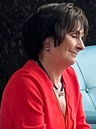 Enya (Eithne ni Bhraonain), 2022 portrait