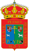Official seal of Pedro Bernardo