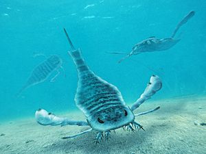 Eurypterus Paleoart.jpg
