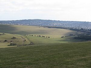 Ewe Bottom from the Sussex Border Path - geograph.org.uk - 1748020